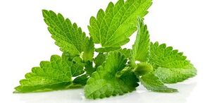 the use of mint to increase potency