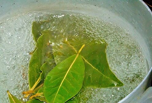 A decoction of bay leaves for a relaxing bath with potency problems